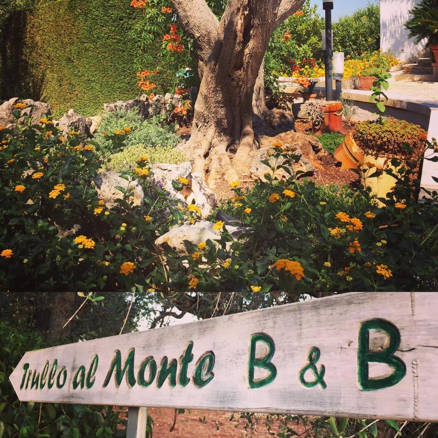 세글리에 메사피카 Trullo Al Monte B&B 외부 사진