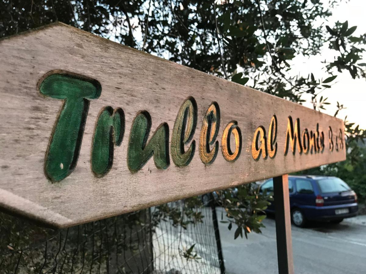 세글리에 메사피카 Trullo Al Monte B&B 외부 사진